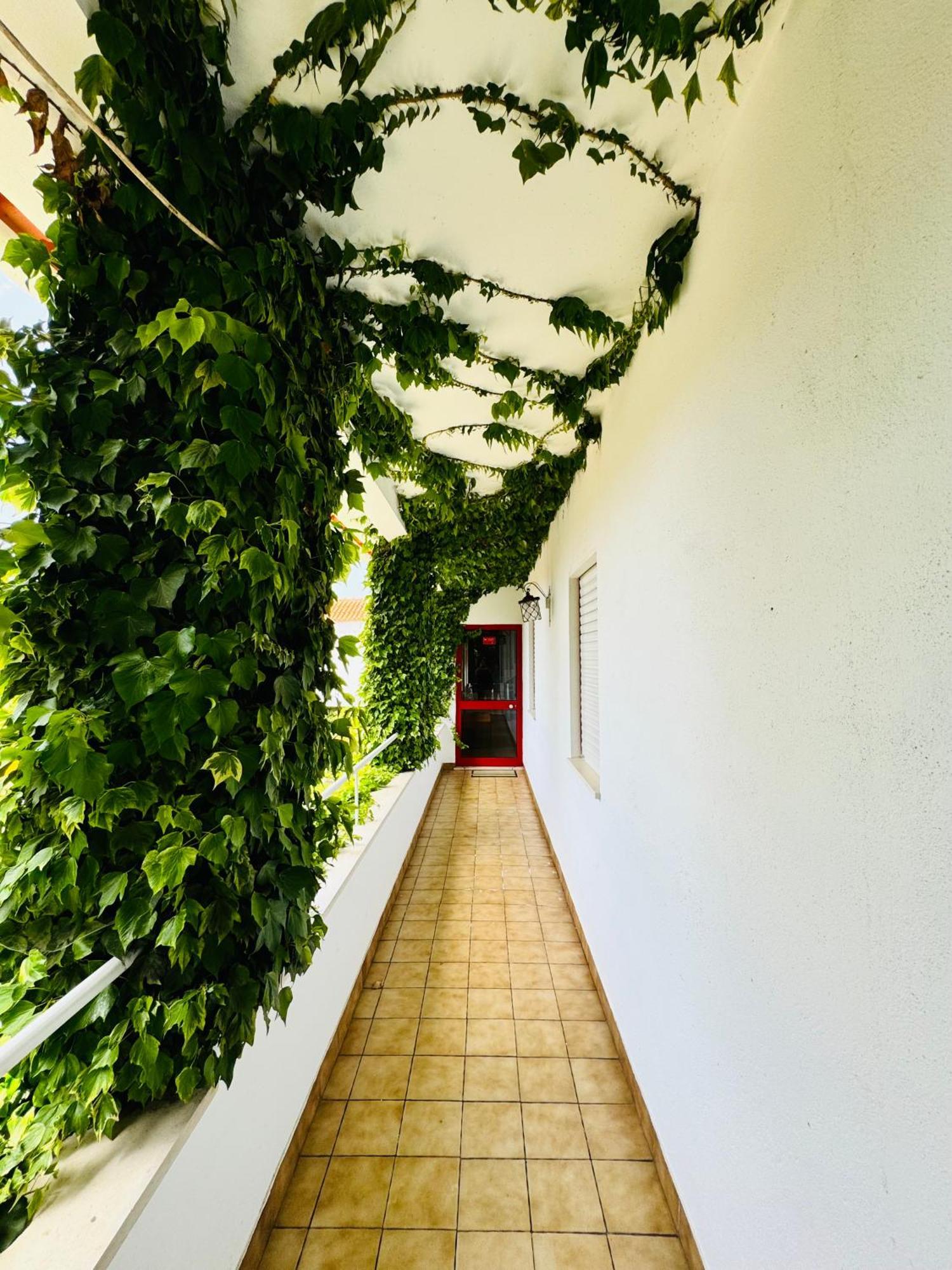 Nature & Beach Guest Rooms, Aldeamento Turistico Do Camarido Cristelo  Екстериор снимка