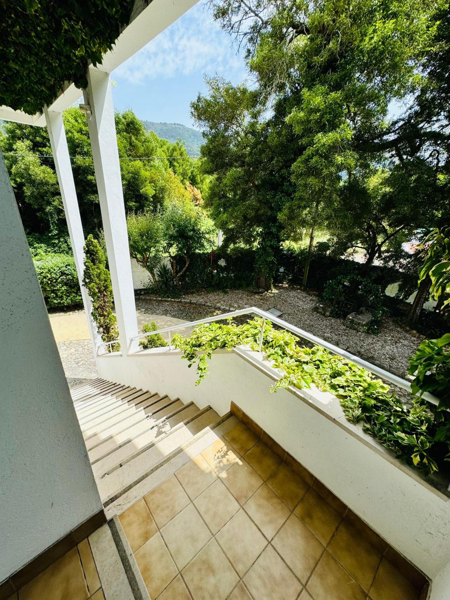 Nature & Beach Guest Rooms, Aldeamento Turistico Do Camarido Cristelo  Екстериор снимка